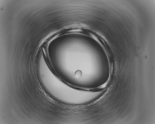 X0000087601018200704271327