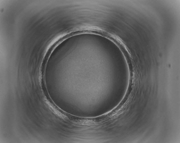 X0000087601024200704271327