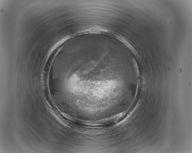 X0000087601026200704271327