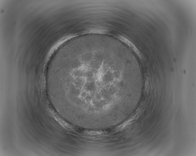 X0000087601027200704271327