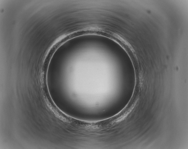 X0000087601029200704271327