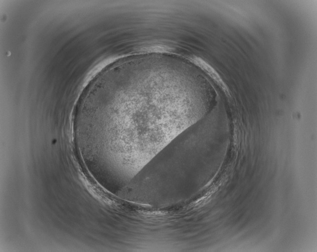 X0000087601031200704271327