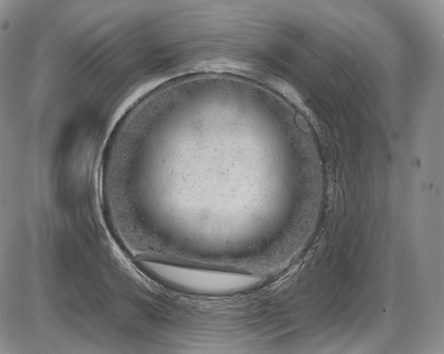 X0000087601032200704271327