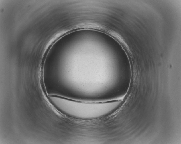 X0000087601040200704271327