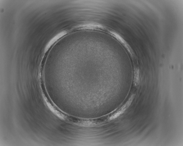 X0000087601042200704271327