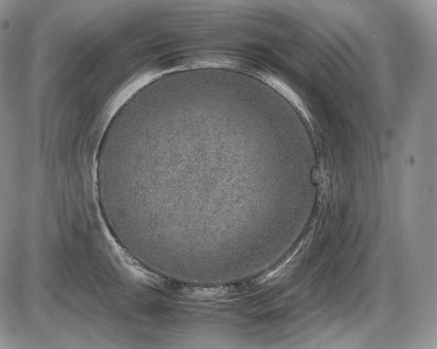 X0000087601047200704271327