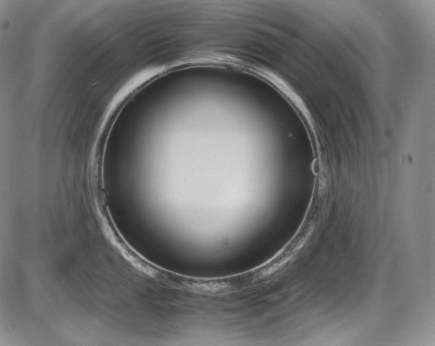 X0000087601053200704271327