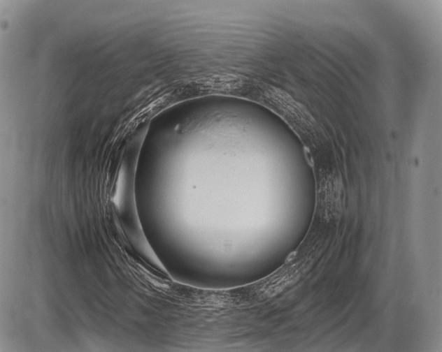 X0000087601058200704271327