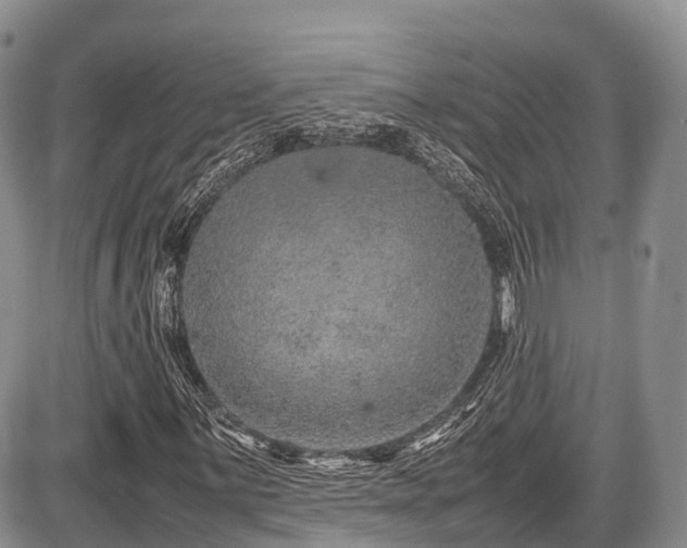 X0000087601059200704271327