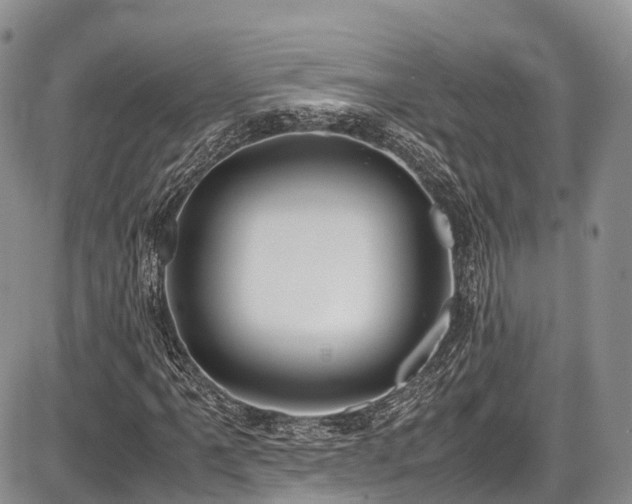 X0000087601061200704271327