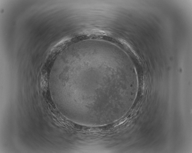 X0000087601063200704271326