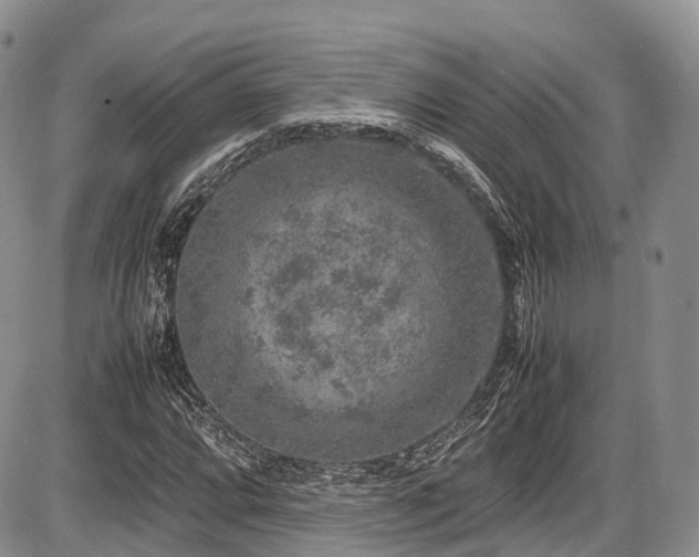 X0000087601064200704271326