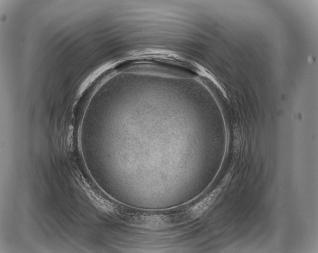 X0000087601066200704271326