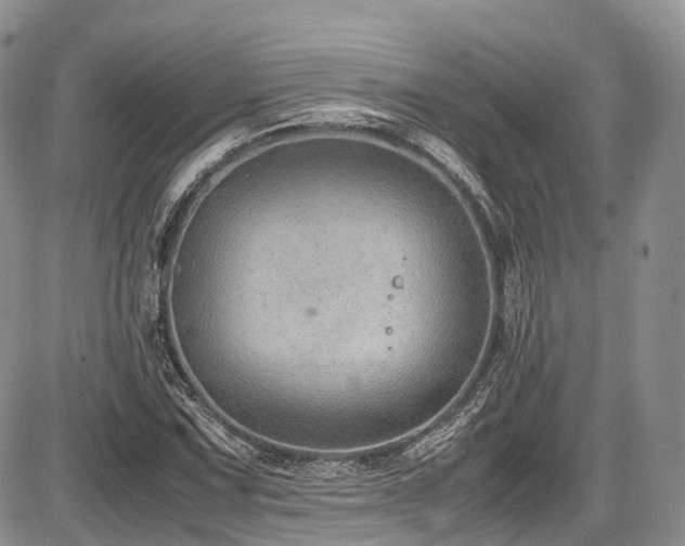 X0000087601067200704271326