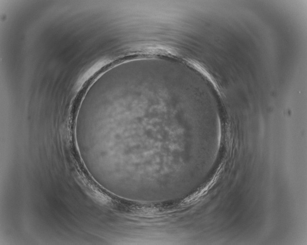 X0000087601071200704271326