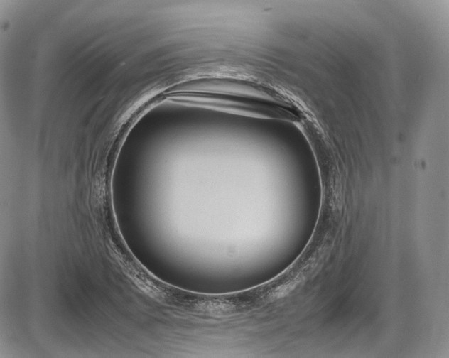 X0000087601073200704271326