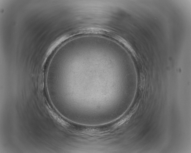 X0000087601075200704271326
