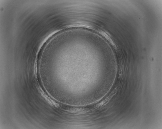 X0000087601076200704271326