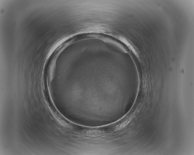X0000087601077200704271326