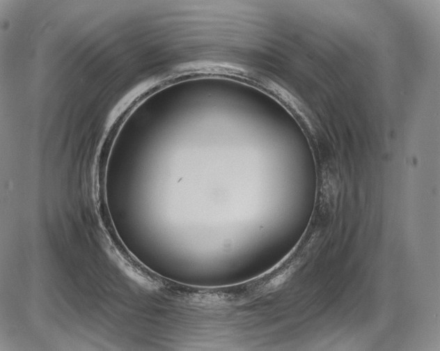 X0000087601082200704271326