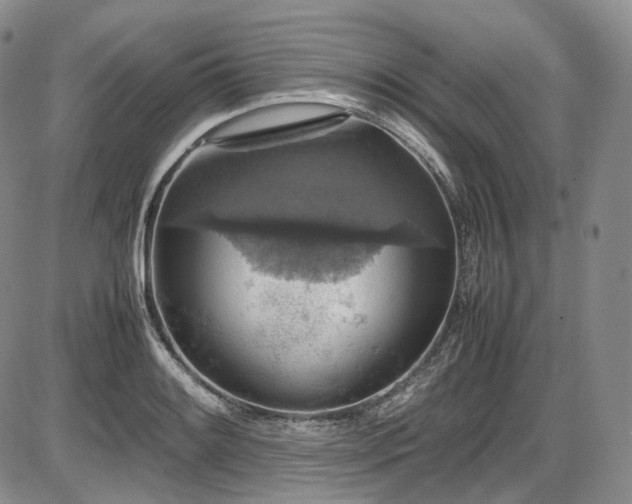 X0000087601084200704271326