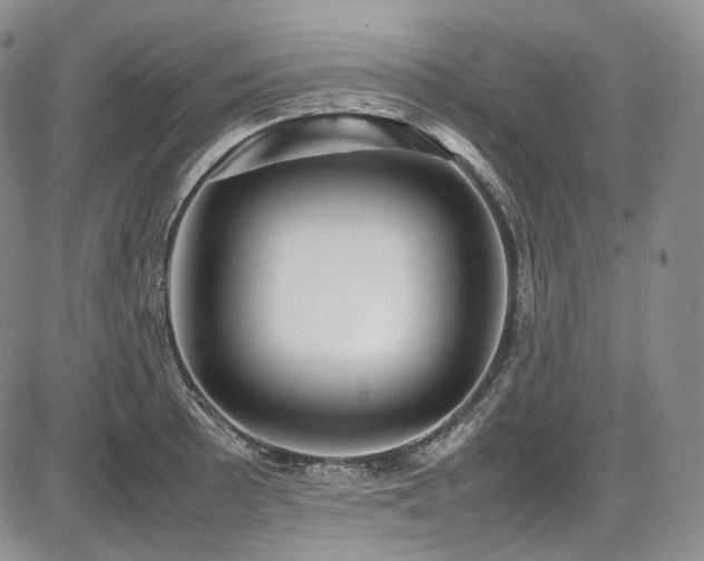 X0000087601089200704271326