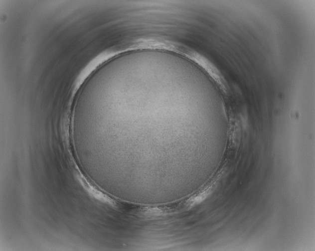 X0000087601094200704271326