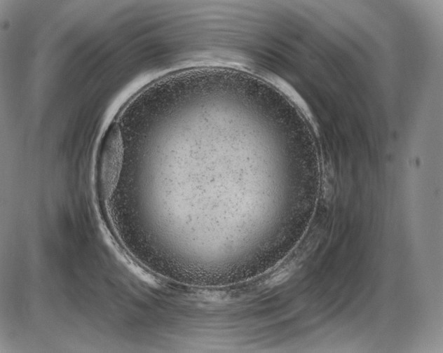 X0000087601096200704271326