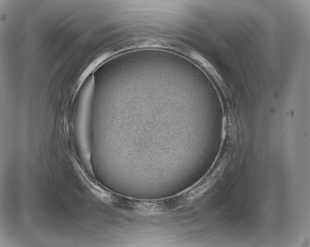X0000087601097200704271326