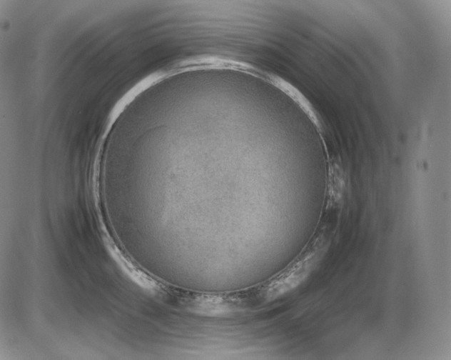 X0000087601098200704271326