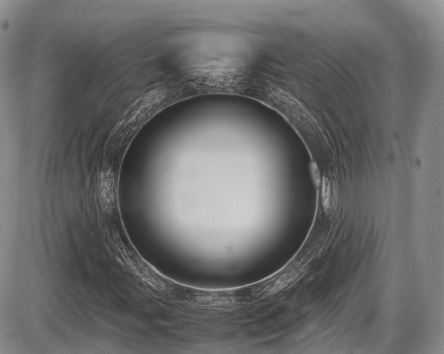 X0000087601107200704271325