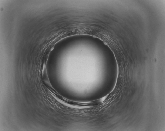 X0000087601109200704271325