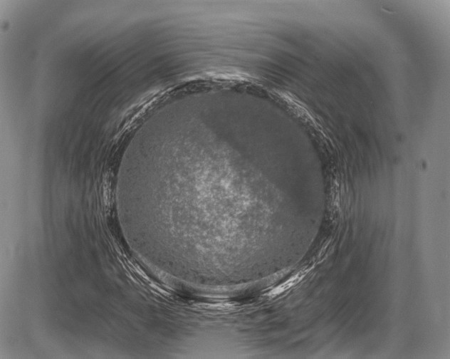 X0000087601110200704271325