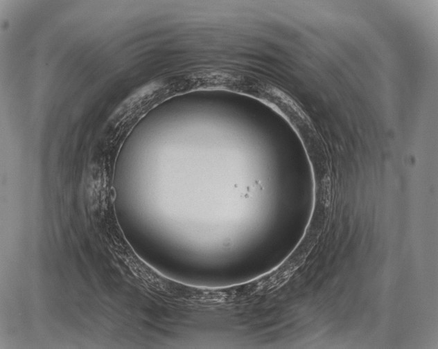 X0000087601111200704271325