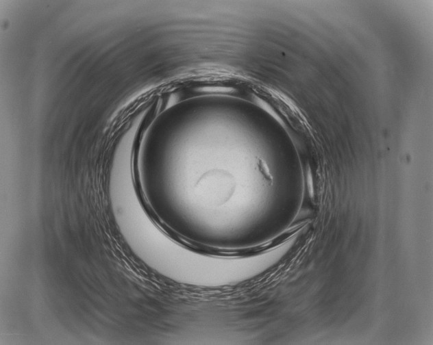 X0000087601112200704271325