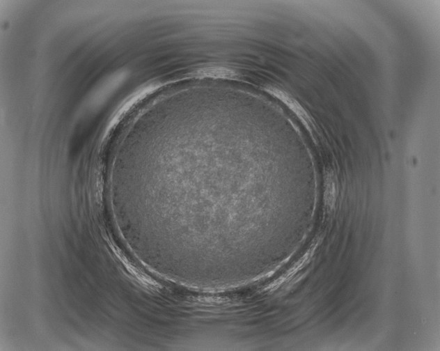 X0000087601115200704271325