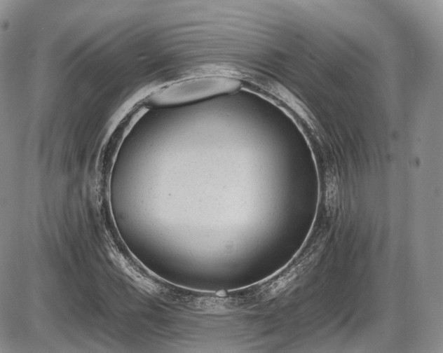 X0000087601116200704271325