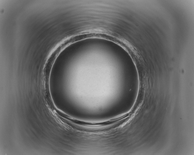 X0000087601118200704271325