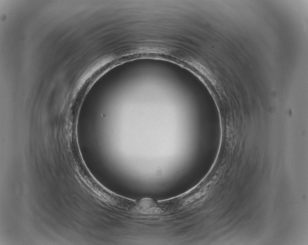 X0000087601119200704271325