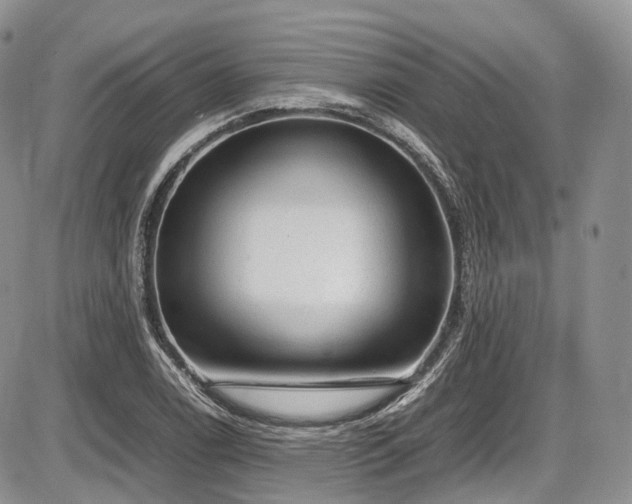 X0000087601122200704271325