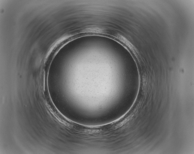 X0000087601123200704271325