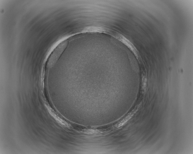 X0000087601124200704271325