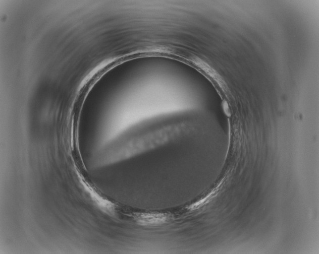 X0000087601127200704271325