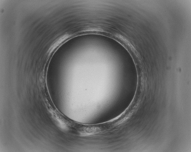 X0000087601129200704271325