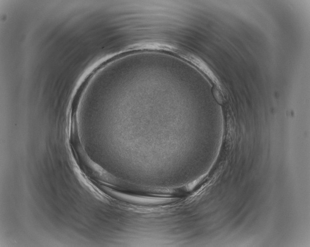 X0000087601132200704271325