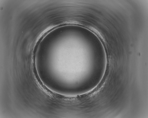 X0000087601133200704271326