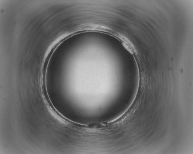 X0000087601136200704271326