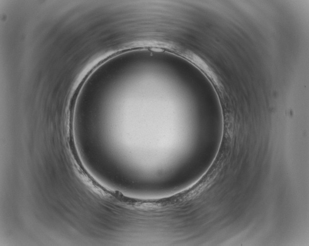 X0000087601140200704271326