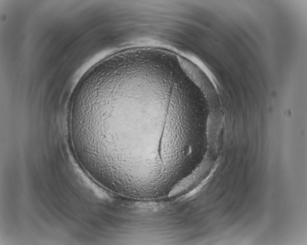 X0000087601142200704271326