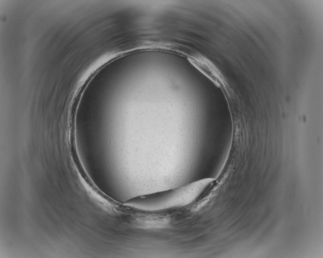 X0000087601143200704271326